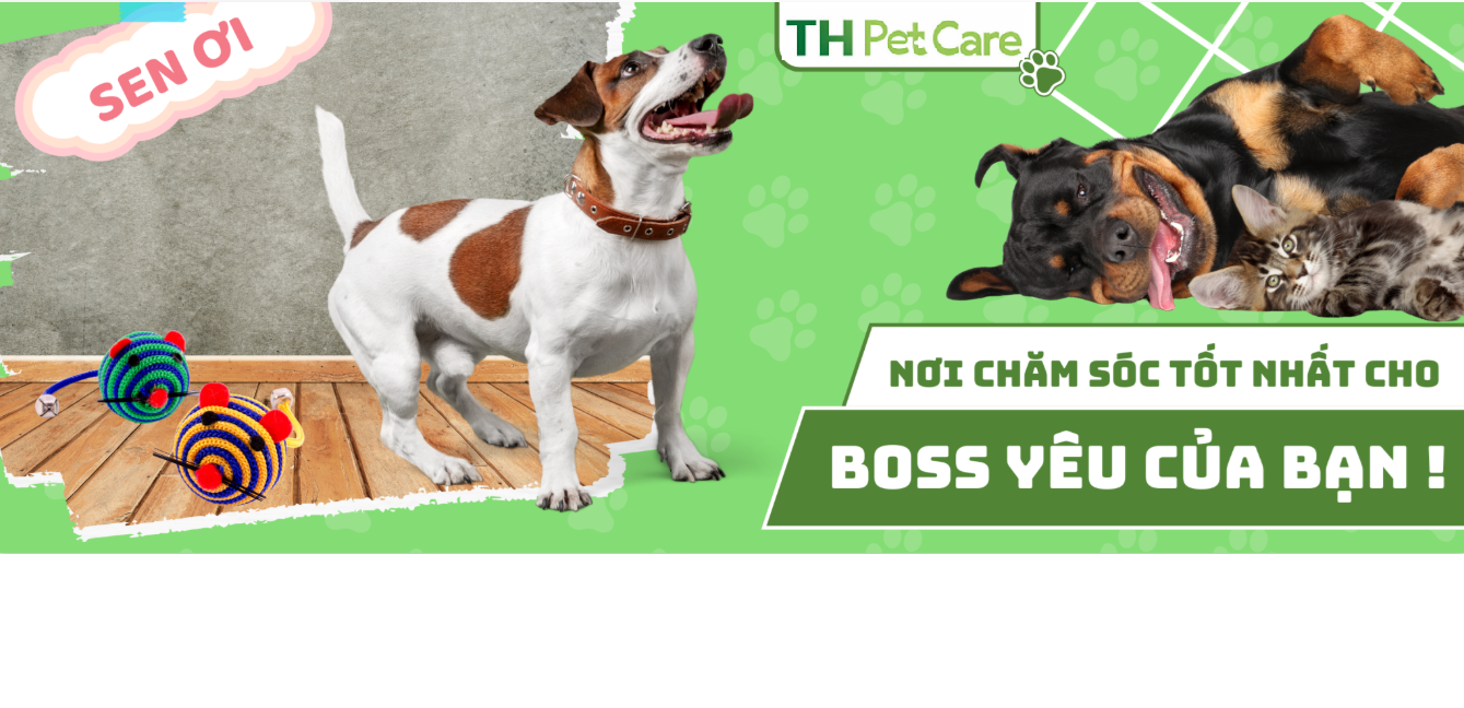 Pet Care Banner